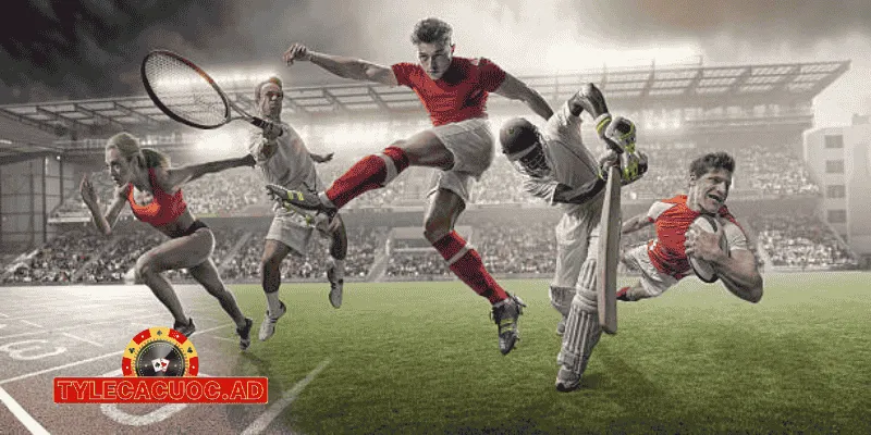 lich thi dau bundesliga tylecacuoc Lịch Thi Đấu Bundesliga