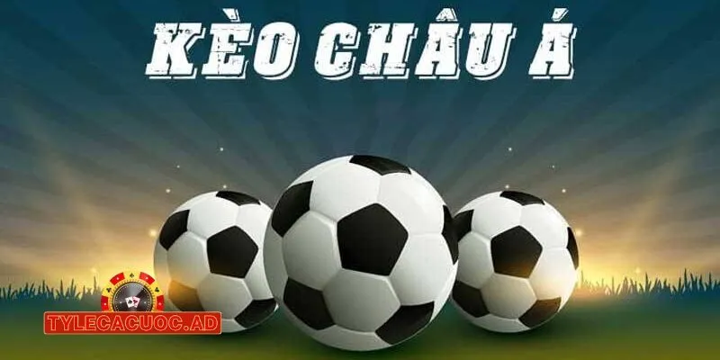 ty le ca cuoc nha cai sky88 3 Nhà Cái Sky88