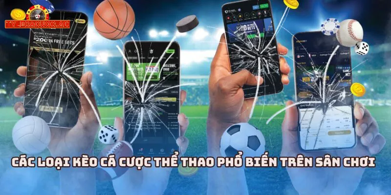 cac loai ty le ca cuoc hay gap Các Loại Tỷ Lệ Cá Cược Hay Gặp Nhất Hiện Nay