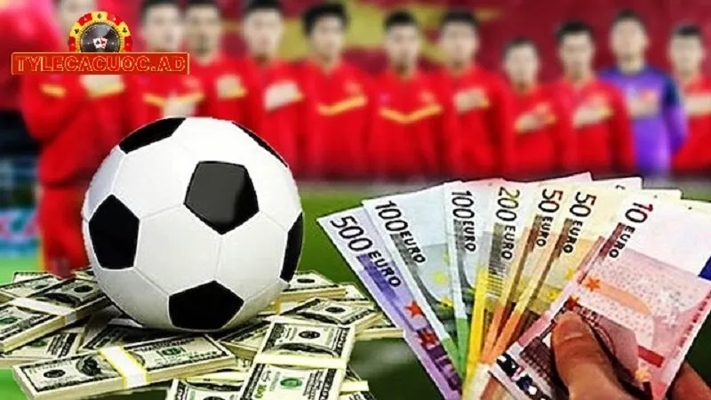 cac yeu to can xem xet khi so sanh ty le ca cuoc giua cac nha cai 1 Các Yếu Tố Cần Xem Xét Khi So Sánh Tỷ Lệ Cá Cược Giữa Các Nhà Cái