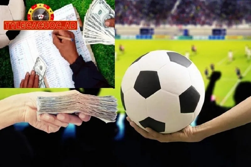 ty le ca cuoc la gi 2 Tỷ Lệ Cá Cược Là Gì?