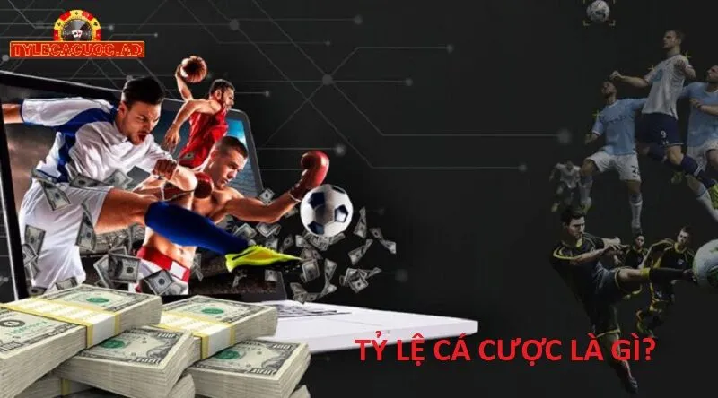 ty le ca cuoc la gi 4 Tỷ Lệ Cá Cược Là Gì? Hiểu Biết Cơ Bản Để Thành Công