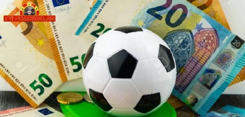 vai tro cua tylecacuoc trong ca cuoc Vai Trò Của Tylecacuoc Trong Cá Cược